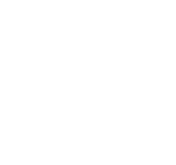 American Board of Plastic Surgery logo