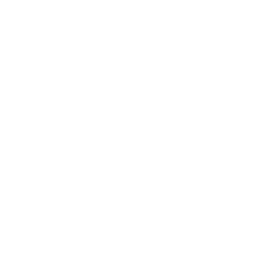 American Board of Surgery logo